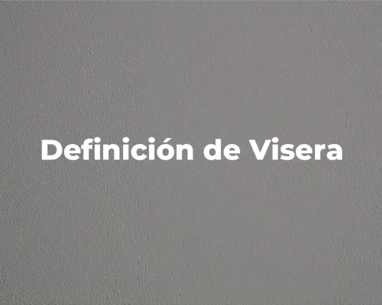 Definición de Visera
