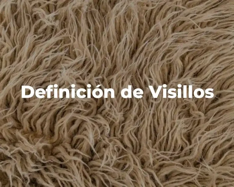 Definición de Visillos