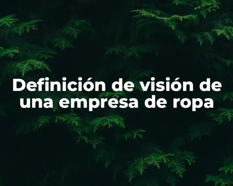 Definición de visión de una empresa de ropa
