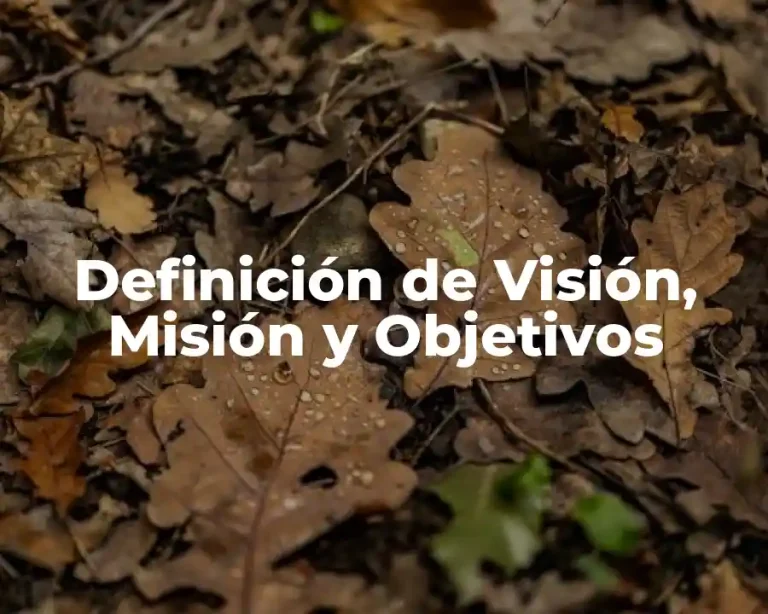Definición de Visión, Misión y Objetivos