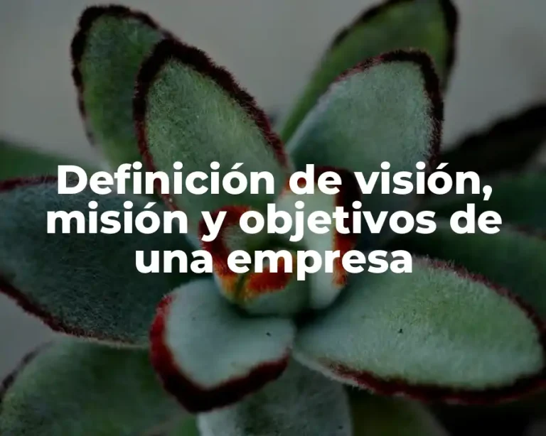 Definición de visión, misión y objetivos de una empresa