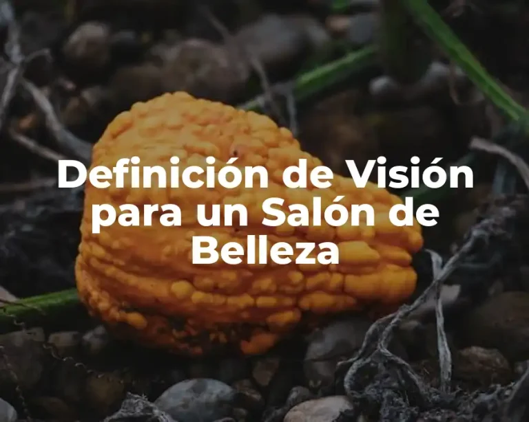 Definición de Visión para un Salón de Belleza