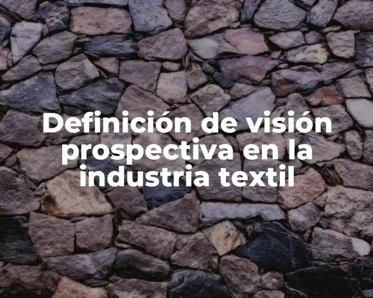 Definición de visión prospectiva en la industria textil