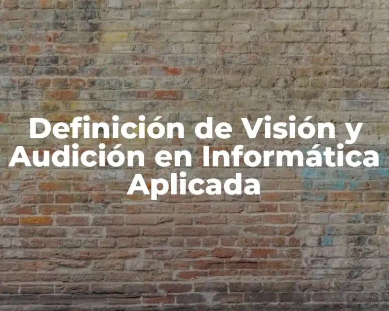 Definición de Visión y Audición en Informática Aplicada