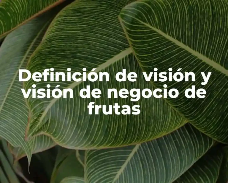 Definición de visión y visión de negocio de frutas