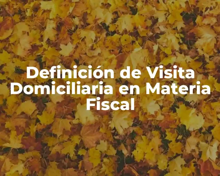 Definición de Visita Domiciliaria en Materia Fiscal