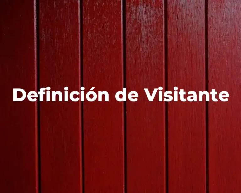 Definición de Visitante