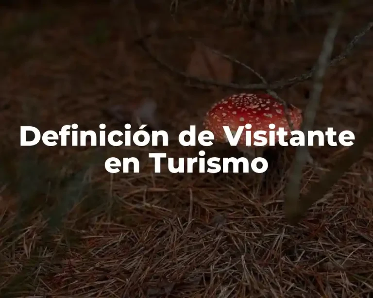 Definición de Visitante en Turismo