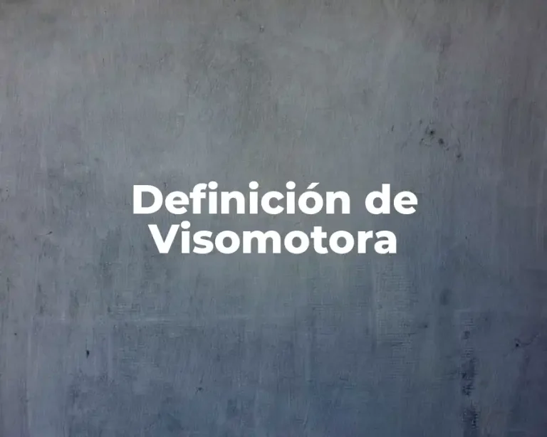 Definición de Visomotora