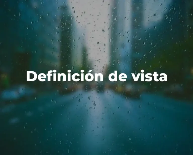 Definición de vista