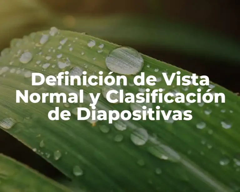 Definición de Vista Normal y Clasificación de Diapositivas