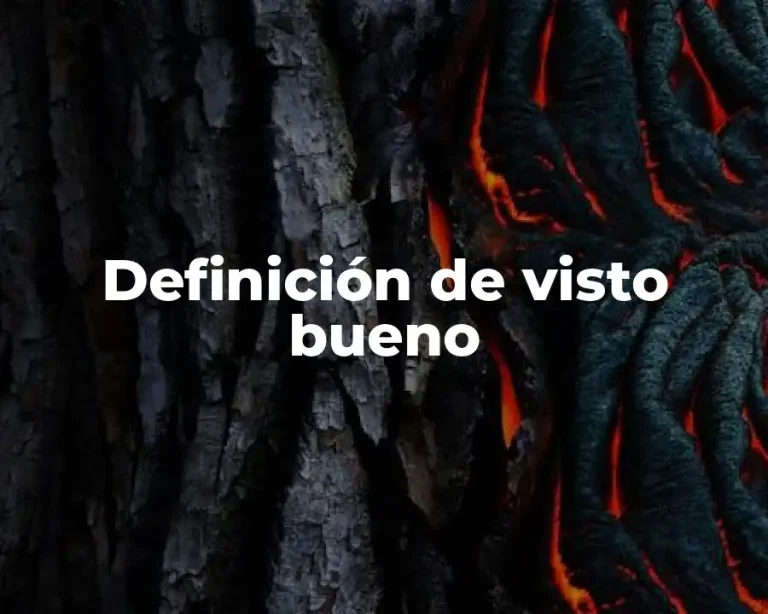 Definición de visto bueno