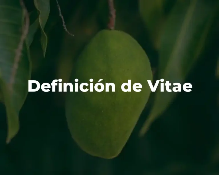 Definición de Vitae
