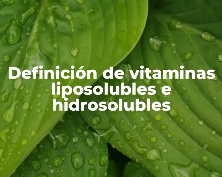 Definición de vitaminas liposolubles e hidrosolubles