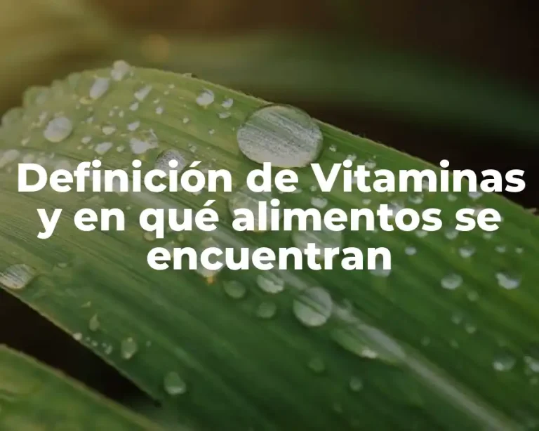 Definición de Vitaminas y en qué alimentos se encuentran
