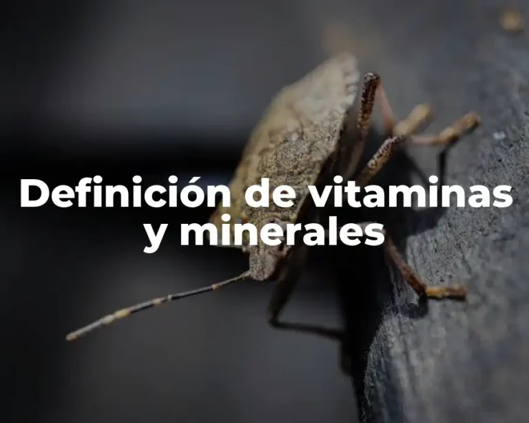 Definición de vitaminas y minerales