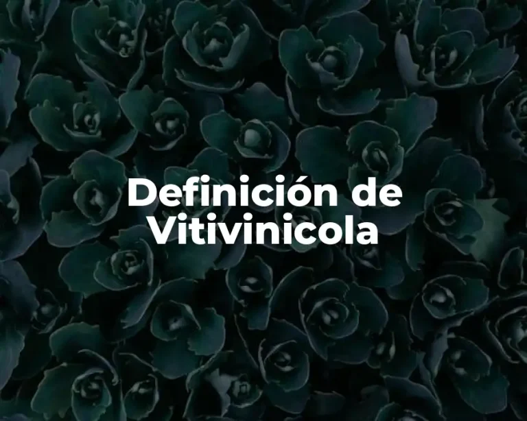 Definición de Vitivinicola