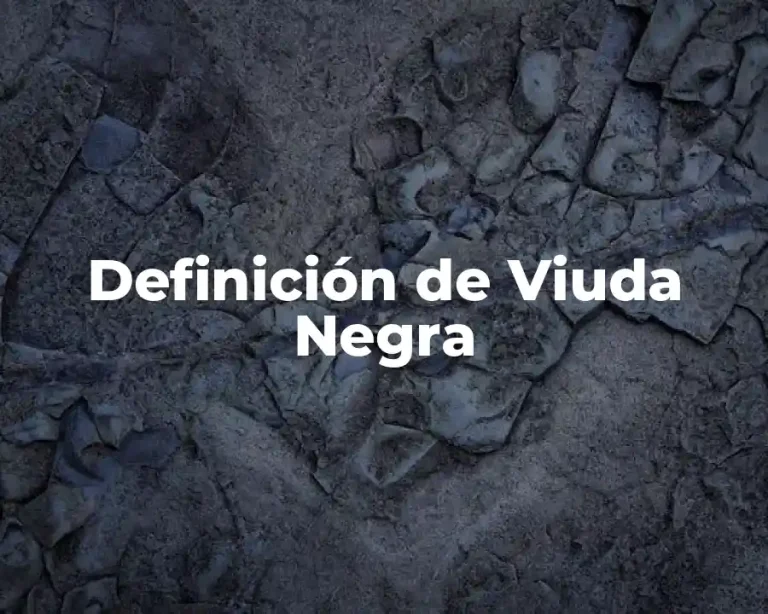 Definición de Viuda Negra