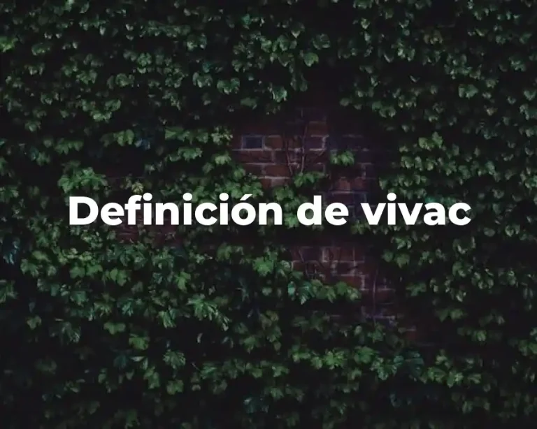Definición de vivac