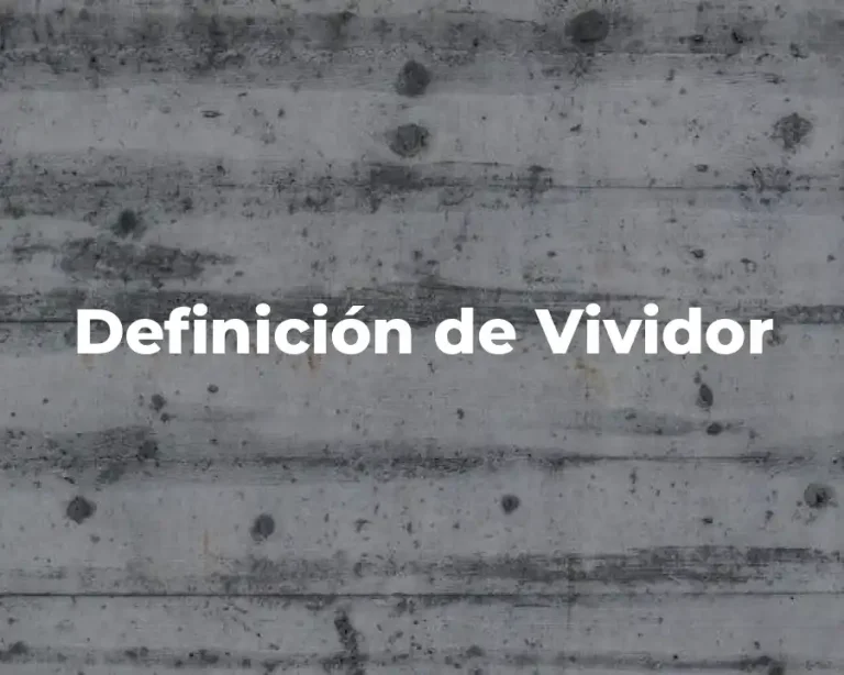 Definición de Vividor