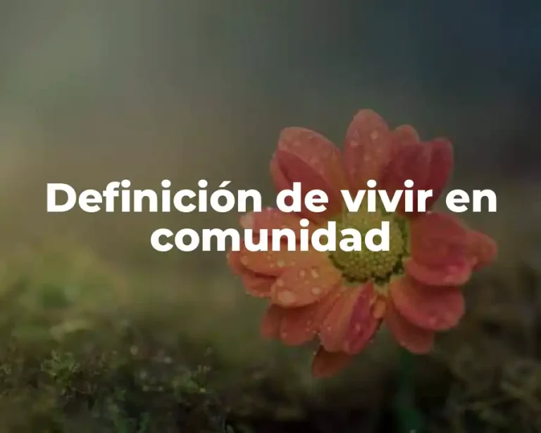 Definición de vivir en comunidad