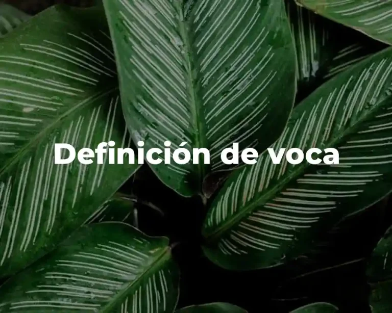 Definición de voca