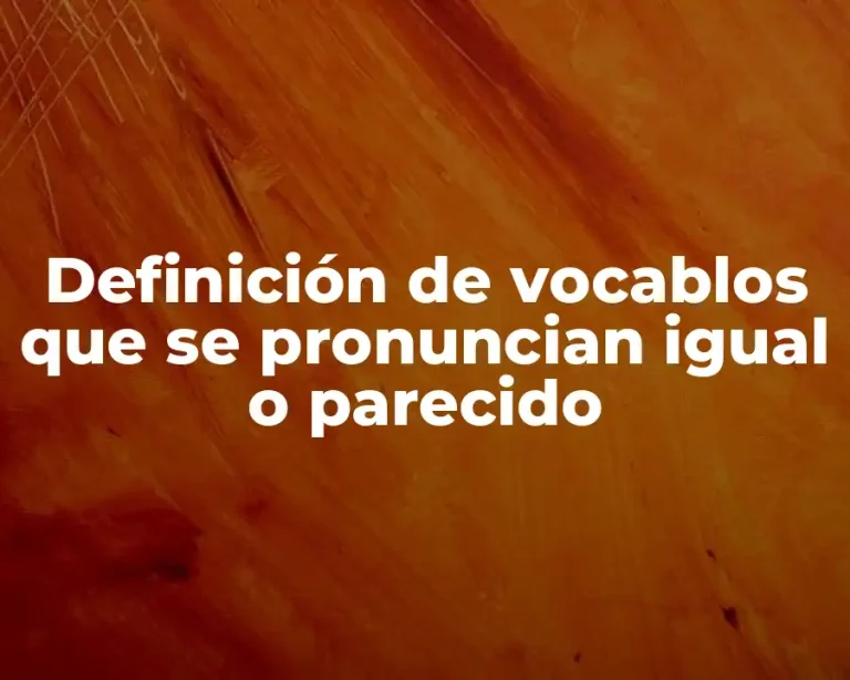 Definición de vocablos que se pronuncian igual o parecido