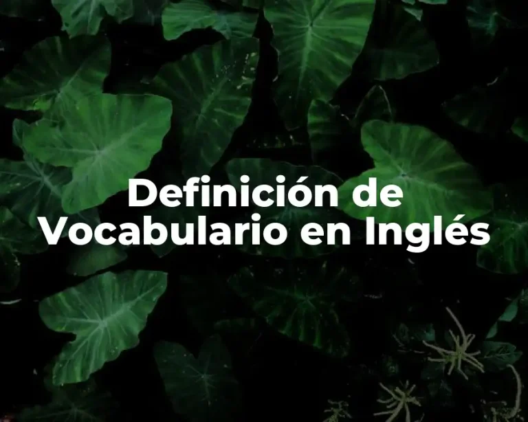 Definición de Vocabulario en Inglés