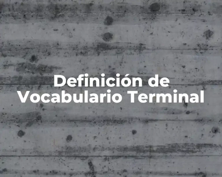 Definición de Vocabulario Terminal