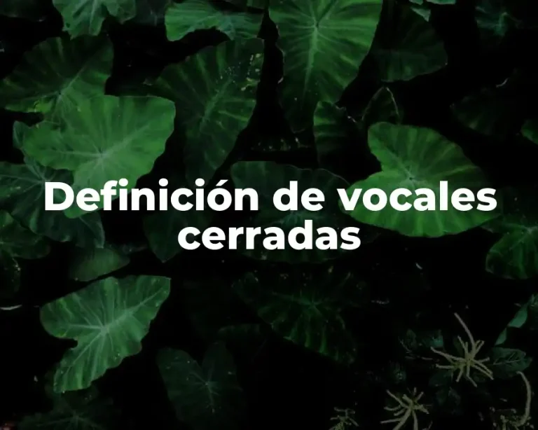 Definición de vocales cerradas