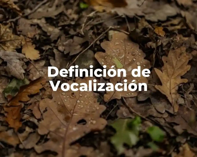 Definición de Vocalización