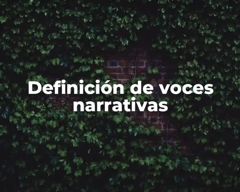 Definición de voces narrativas
