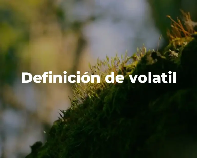 Definición de volatil