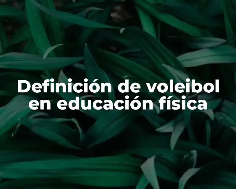 Definición de voleibol en educación física