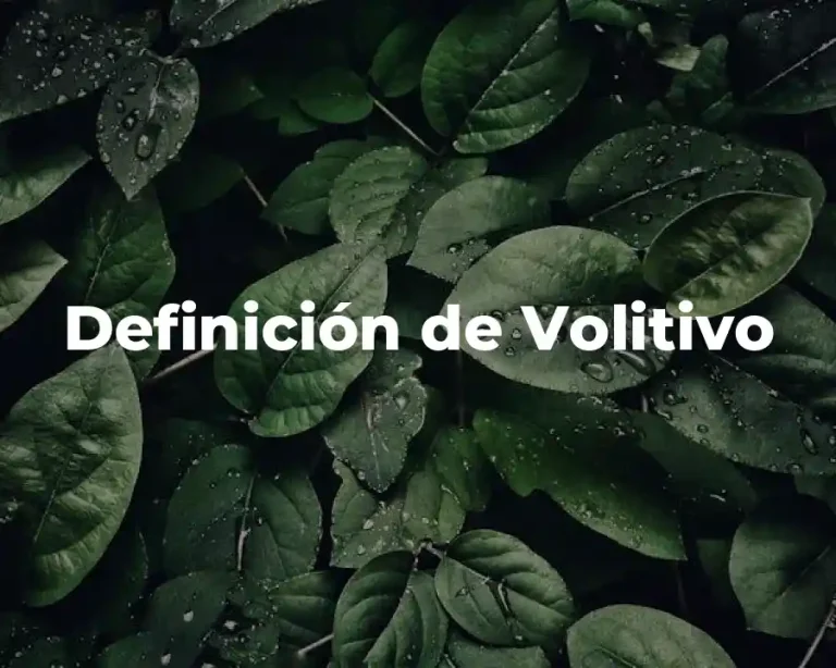 Definición de Volitivo