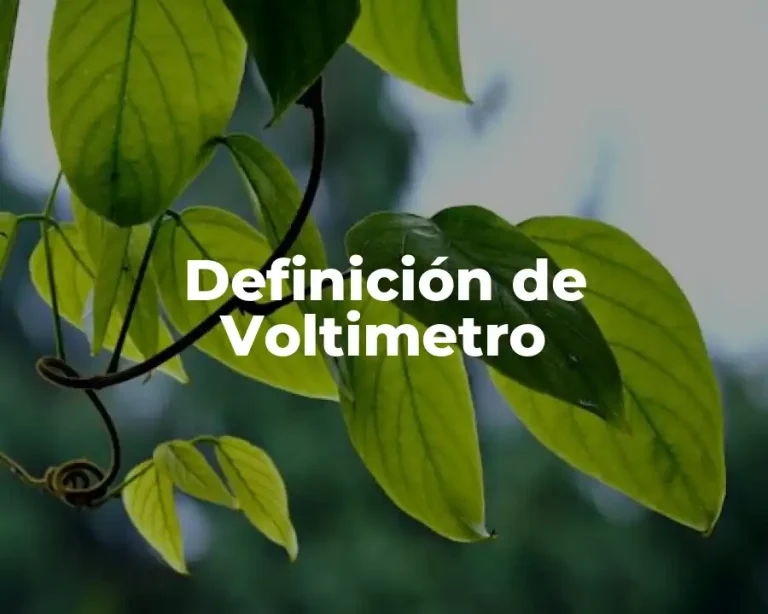Definición de Voltimetro