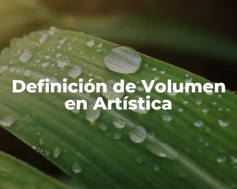 Definición de Volumen en Artística