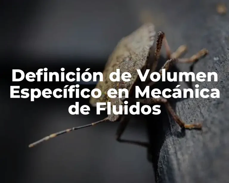Definición de Volumen Específico en Mecánica de Fluidos