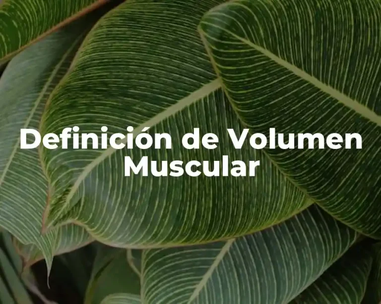 Definición de Volumen Muscular
