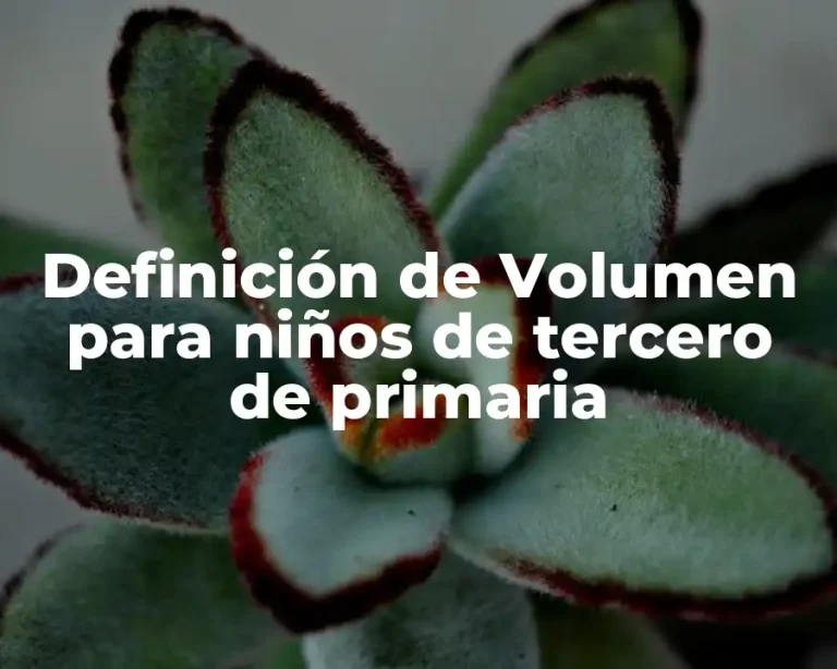 Definición de Volumen para niños de tercero de primaria