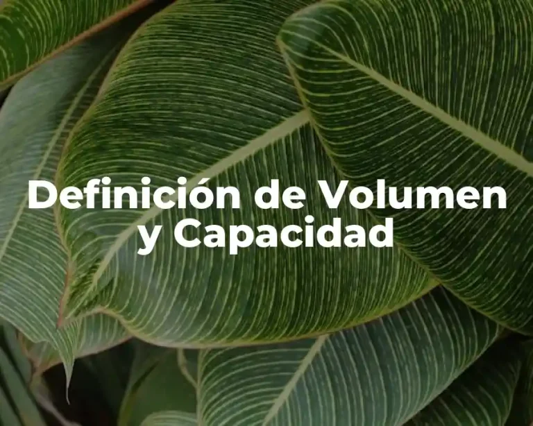 Definición de Volumen y Capacidad