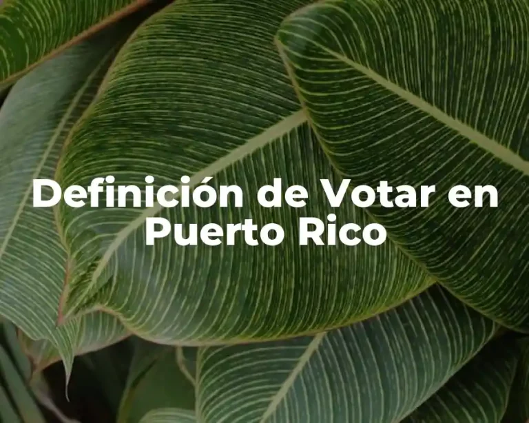 Definición de Votar en Puerto Rico
