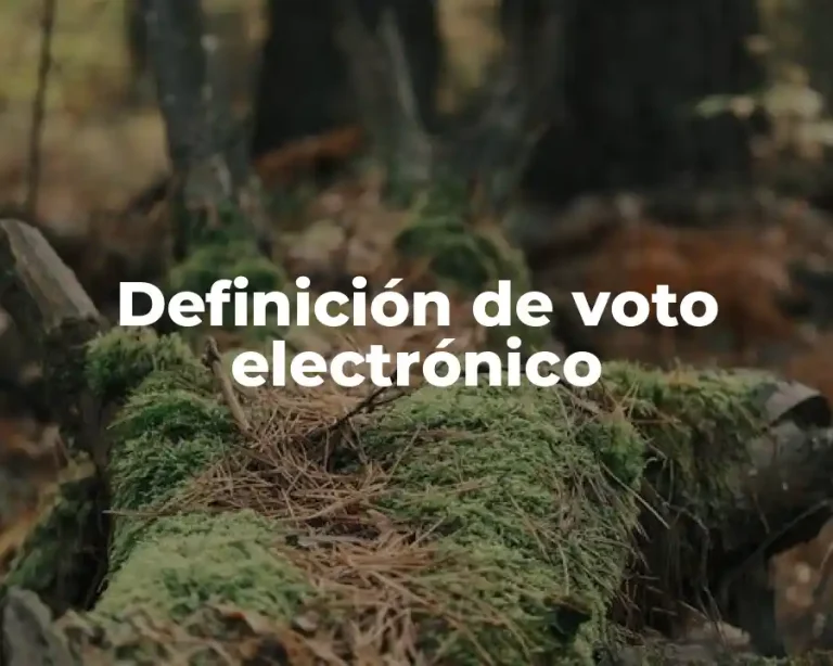 Definición de voto electrónico