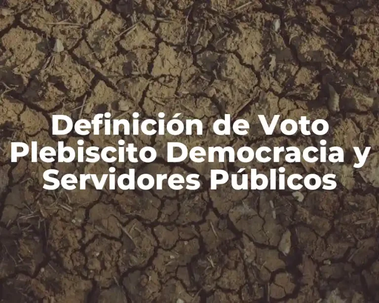 Definición de Voto Plebiscito Democracia y Servidores Públicos