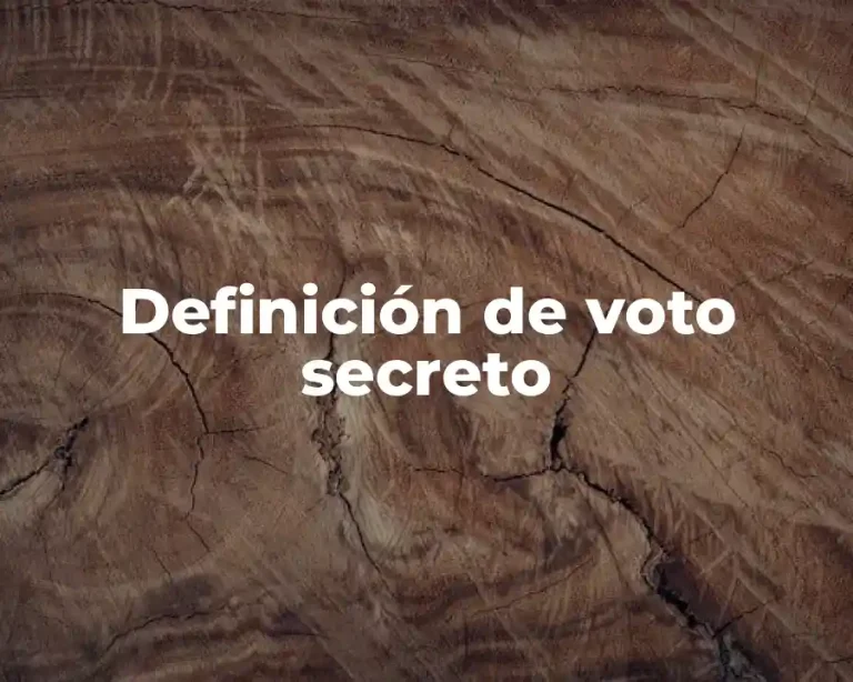 Definición de voto secreto