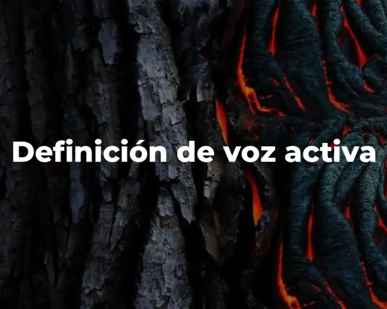 Definición de voz activa