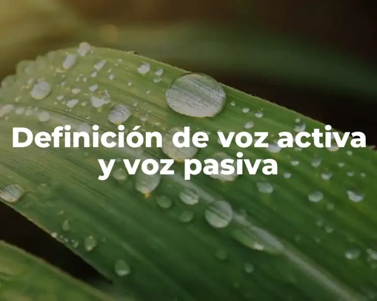 Definición de voz activa y voz pasiva