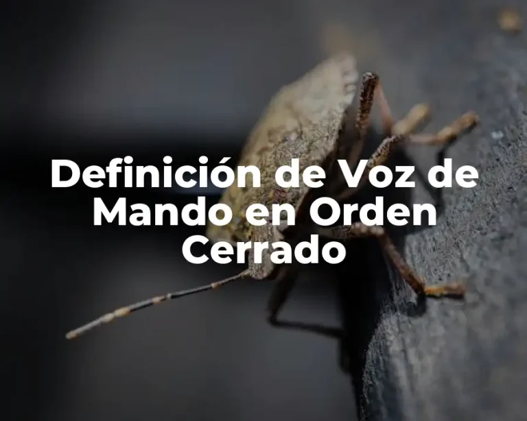Definición de Voz de Mando en Orden Cerrado