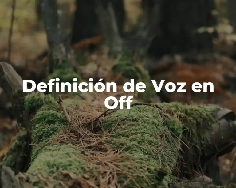 Definición de Voz en Off