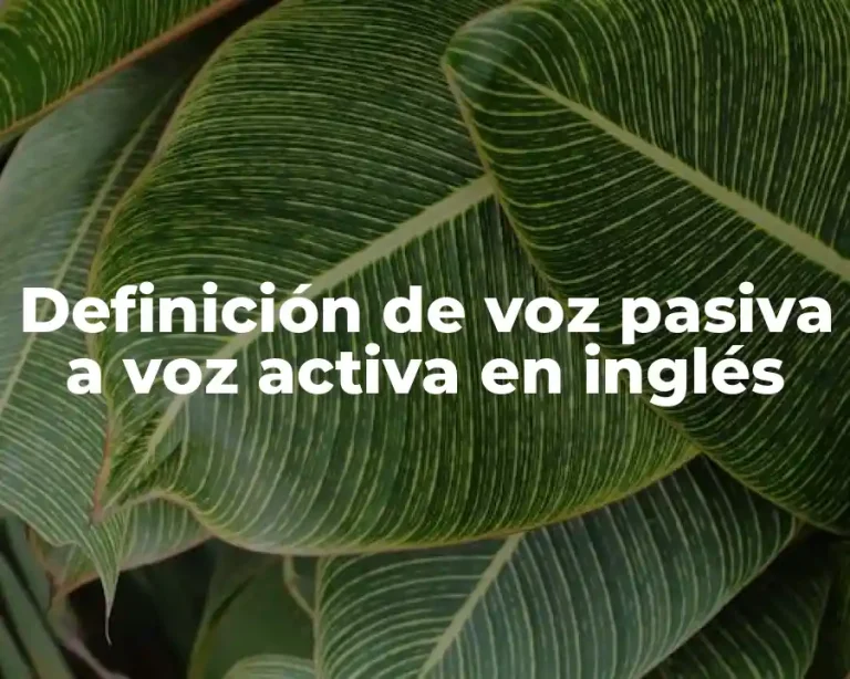 Definición de voz pasiva a voz activa en inglés